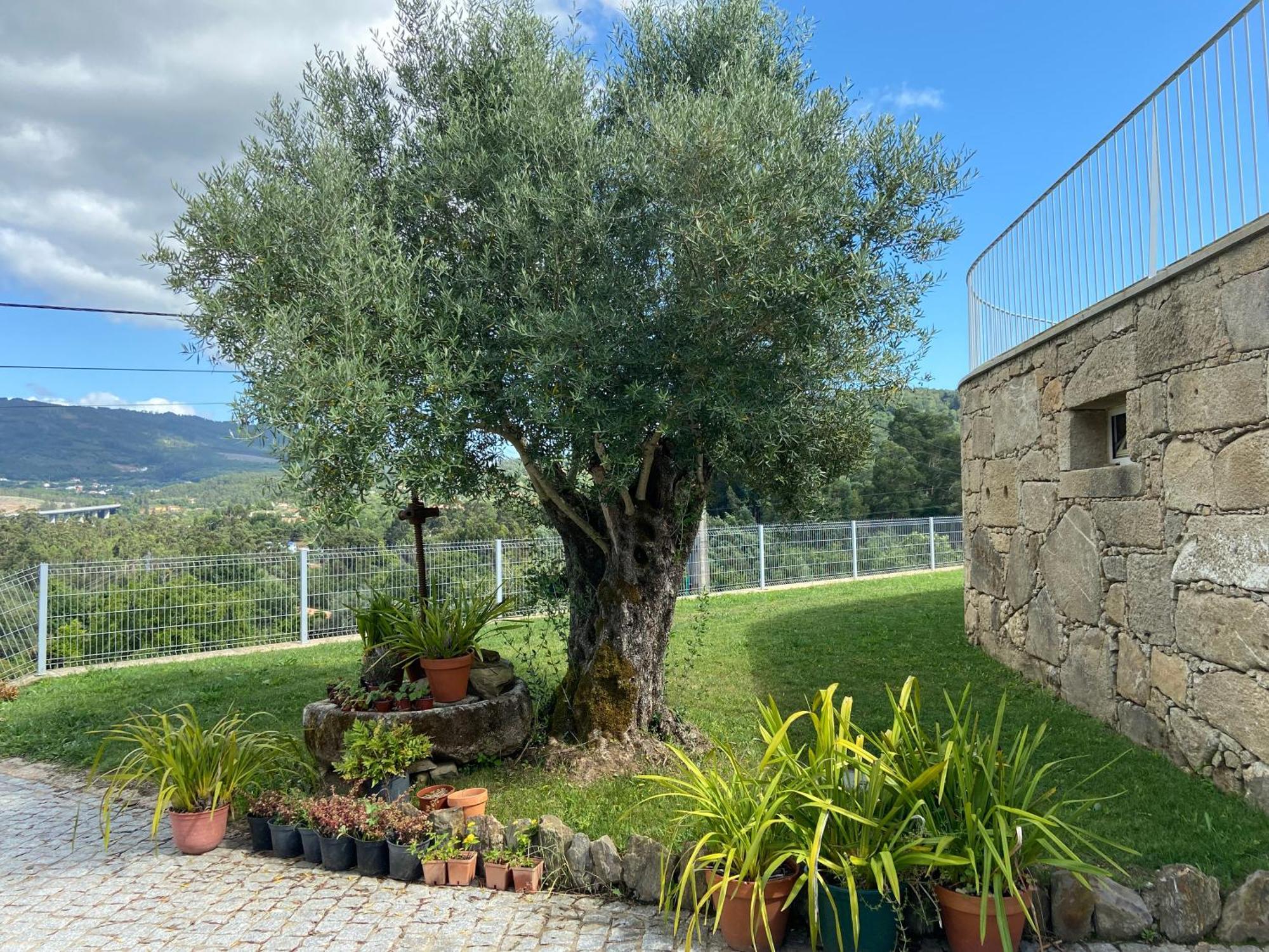 Casa Da Gandara Villa Ponte de Lima Bagian luar foto